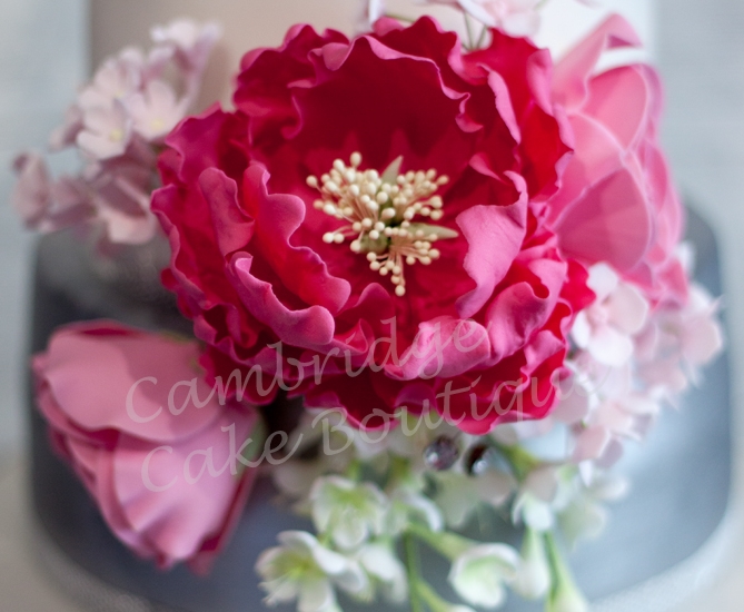 Cambridge Cake Boutique